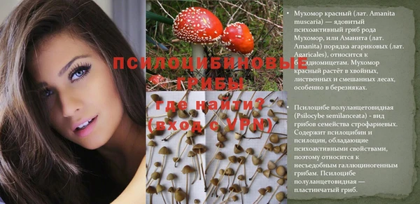 экстази Алзамай