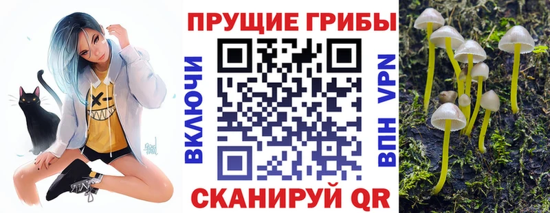 Галлюциногенные грибы прущие грибы Наволоки
